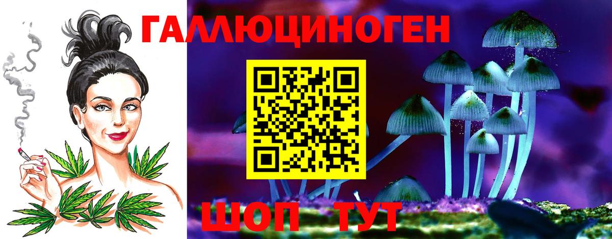 Псилоцибиновые грибы Psilocybine cubensis  Псилоцибиновые грибы MAGIC MUSHROOMS  Ливны  Вход с VPN 