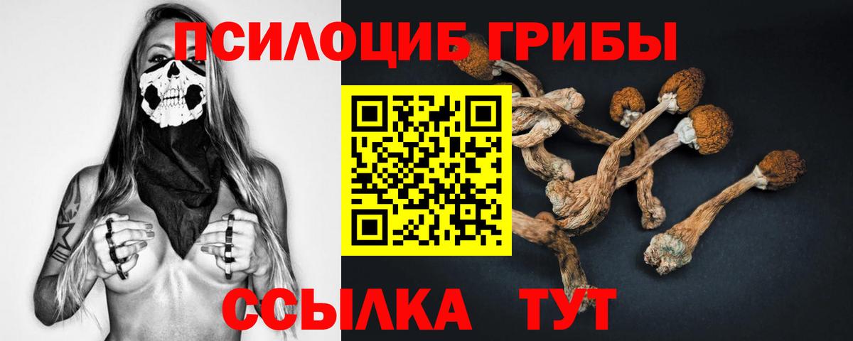 Псилоцибиновые грибы MAGIC MUSHROOMS Ливны